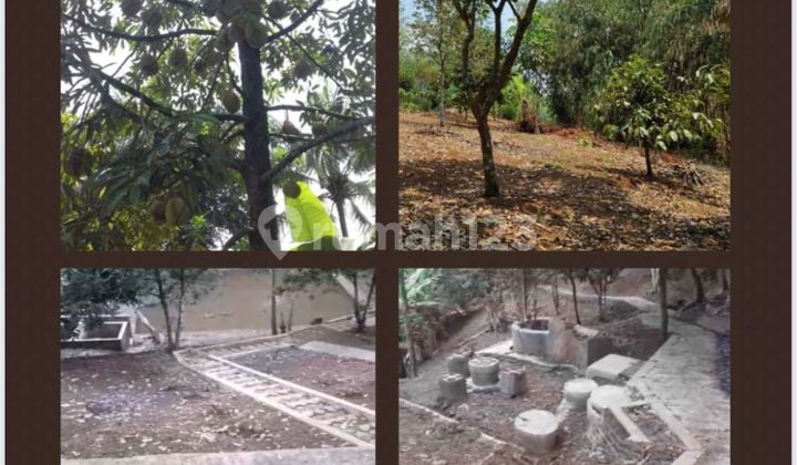Dijual Cepat Tanah Kebuh Buah Cianjur