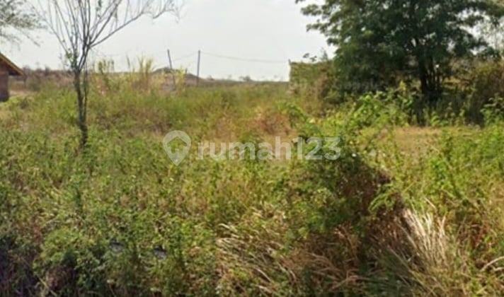 Dijual Tanah Murah Dekat dengan Tol di Tegal Jawa Tengah