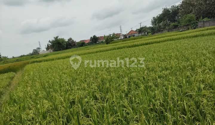 Dijual Tanah Pinggir Jalan di Cikande Tangerang