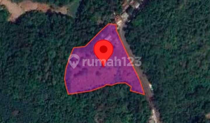 Dijual Tanah Lokasi Strategis di Malingping Gunung Kencana Lebak Banten