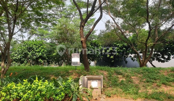 Royal Orchard Plot