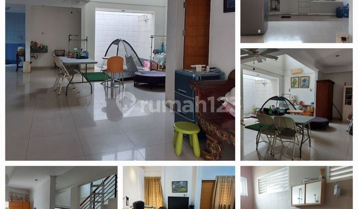 Beautiful Golden Coconut Leaf Beautiful Golden Coconut Leaf