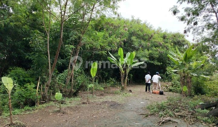 KAVLING ROROTAN CAKUNG LETAK STRATEGIS