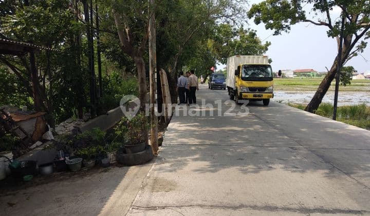 KAVLING ROROTAN CAKUNG