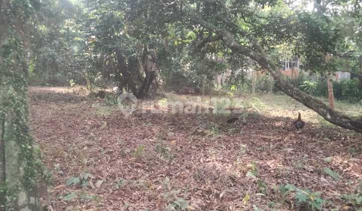 Kavling Kp Sadang Jawa Barat Strategis dan Bagus (Tkdt)