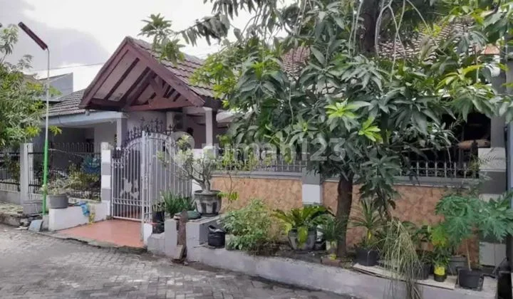 Rumah, 1 Lantai, SHM, di Sutorejo Rumah, 1 Lantai, SHM, di Sutorejo