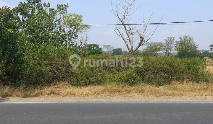 Tanah 14181 m2 SHM Gresik, Gresik