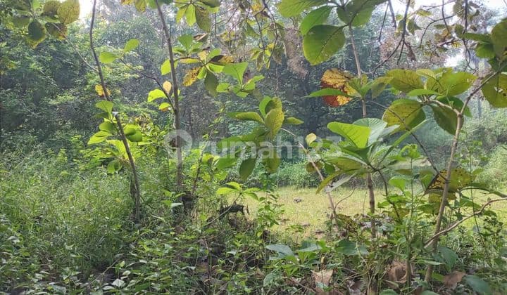 Dijual Tanah di Nol Jalan Raya Prunggahan Kulon Tuban