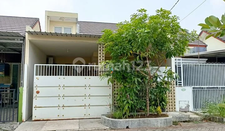 Dijual Rumah di Taman Pondok Jati Geluran Sidoarjo Dijual Rumah di Taman Pondok Jati Geluran Sidoarjo