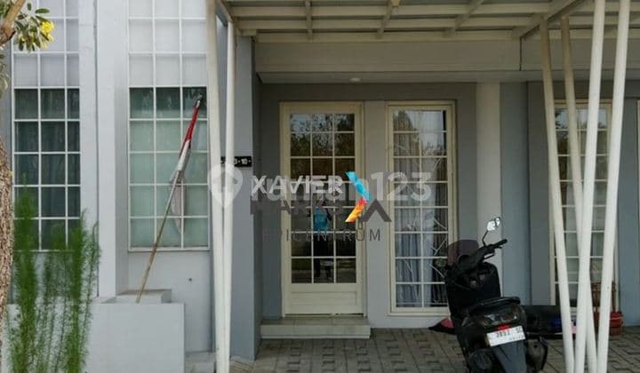 For Rent: Queensland Grand Pakuwon New Minimalist House