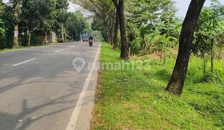 Tanah Murah Seindonesia Nempel Jalan Nasional Di Lokasi Strategis