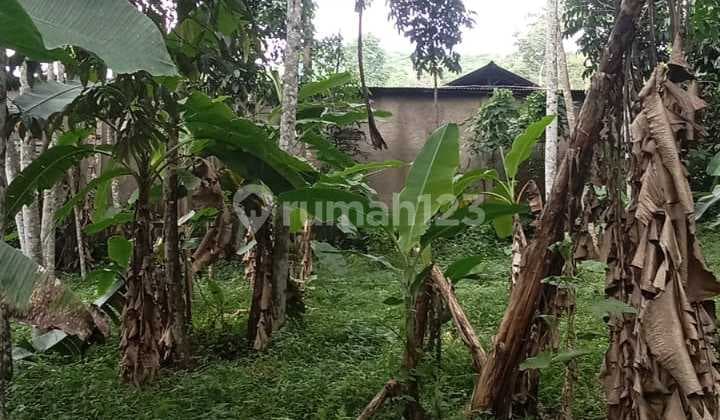 Tanah Kavling konsep Petik Buah Siap Bangun dekat dari jakarta