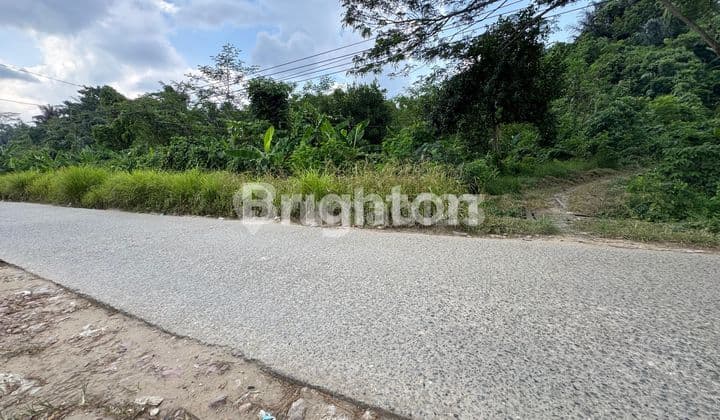 Lahan Pinggir Sungai Mahakam