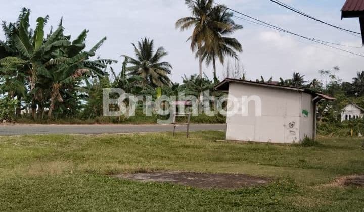 TANAH PINGGIR PANTAI DEKAT IKN