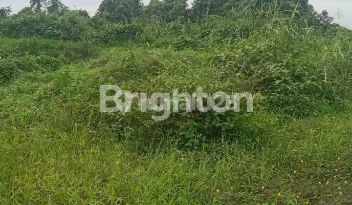 Tanah 50 hektare diarea pengembangan kota samarinda