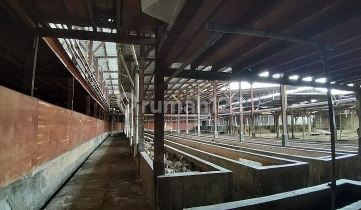 Dijual cepat ex gudang di utan jati