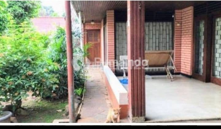 Rumah Elit Kawasan Menteng Terusan
