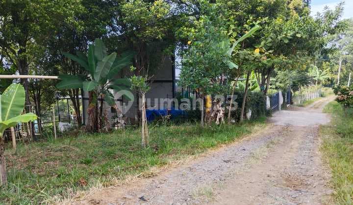Jual Tanah Cocok Utk Villa Kebun, Sayap Setiabudi Bandung Utara
