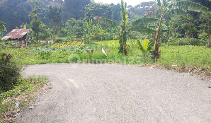 Jual Cepat Harga Termurah Sebandung Utara Cocok Untuk Perumahan, Tempat Wisata, Cafe, Tempat Kuliner