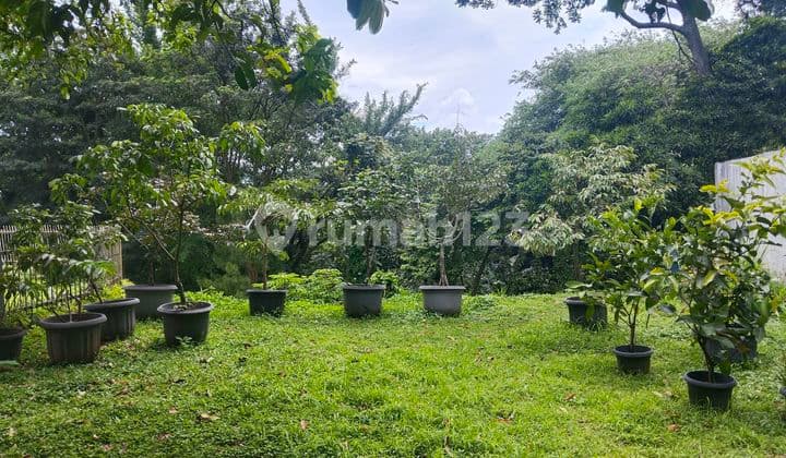 Jual Rumah Di Dago, Ir. Djuanda, Halaman Luas, Bangunan Belanda