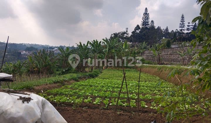 Tanah 13 hektar jalan setiabudi bandung