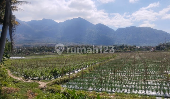 For Sale: Tourist Area Land in Garut, Below Market Price.