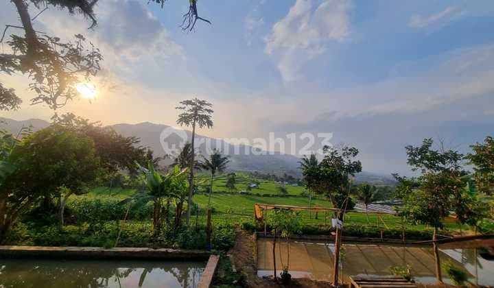 Jual Tanah Di Cimaung Pangalengan Bandung Cocok Untuk Villa, Berkebun, Tempat Wisata