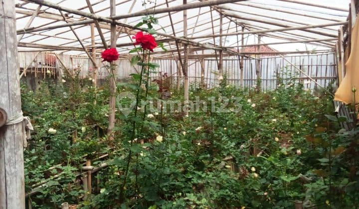 Tanah kebun di parongopong KBB cocok untuk berkebun atau tempat istirahat
