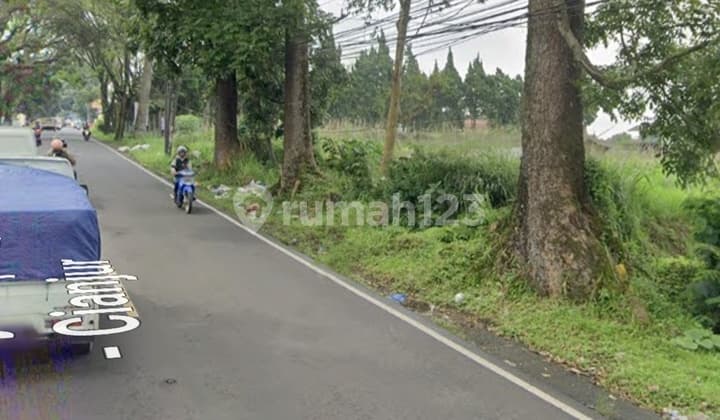 20 Hectares of Land for Sale in Cipanas, Cianjur
