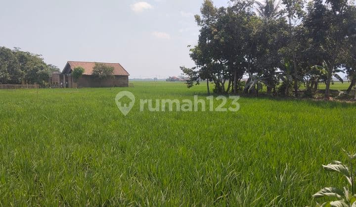 Dijual Tanah 6 Hektar Di Cicalengka Arah Majalaya, Harga 550.000/M Shm