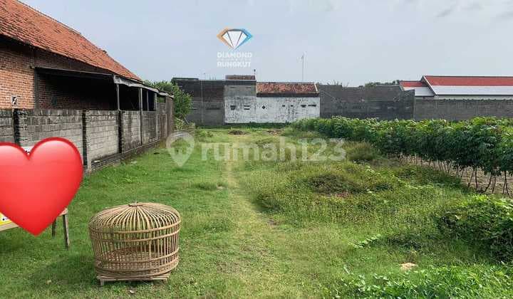 Tanah di Kediri, Kediri SHM 400 M2 700 Juta