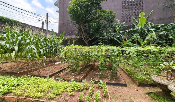 Kavling Siap Bangun Dilokasi Strategis Ampera, Jakarta Selatan