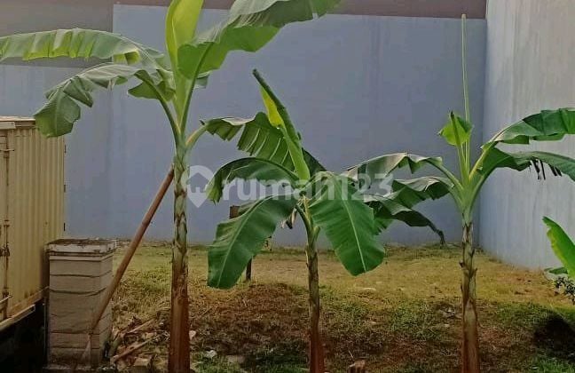 Prime Location Quality Plot in Phg Prime Location Quality Plot in Phg