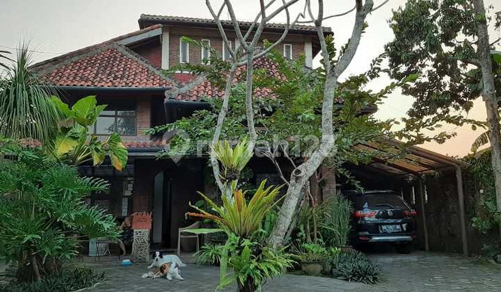 Rumah Bagus Di Dusun Jambon Trihanggo Yogya