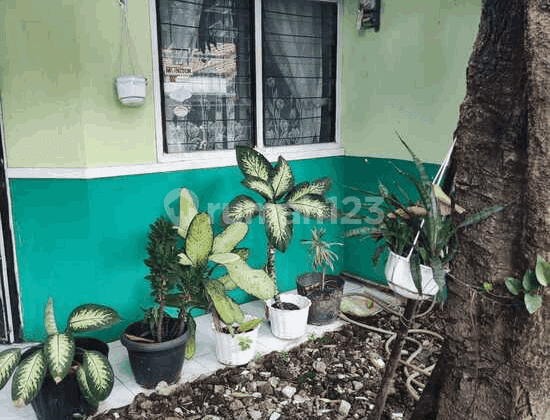Rumah Murah Bagus Siap Huni di Jl Panda Jababeka