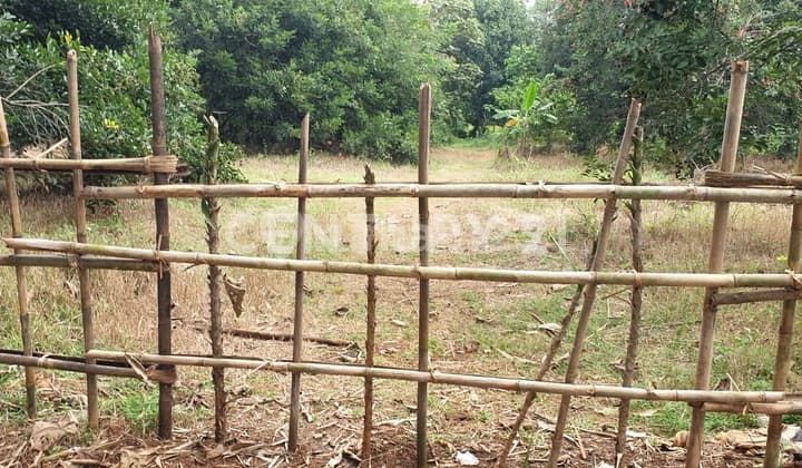 Pagaden Gunungsari Village Land, Subang