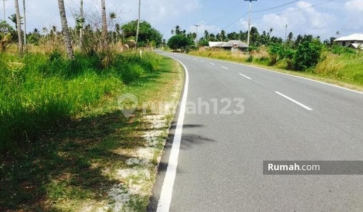 Kavling Pantai Untuk Pariwisata Bintan, Kepulauan Riau