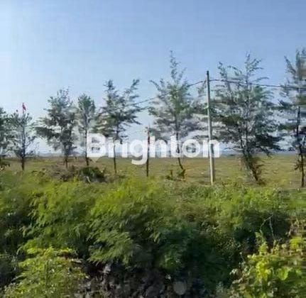 TANAH PREMIUM VIEW OCEAN HARGA SUPER di AREA SEKOLAH DYATMIKA SANUR BALI.