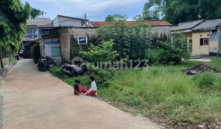 Di Jual Cepat Tanah Kav Murah Turun Harga Jombang Rawa Lele