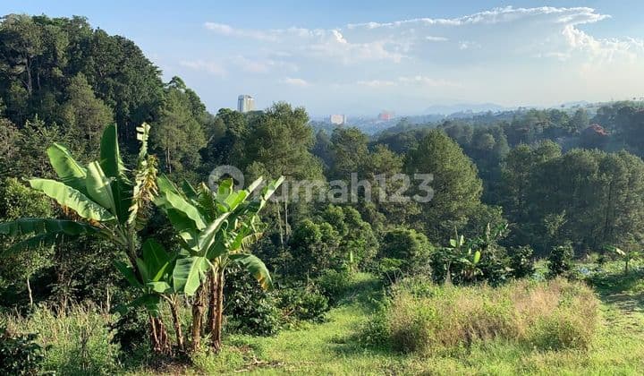 Tanah Di Jual Di Dago Pakar Buni Wangi