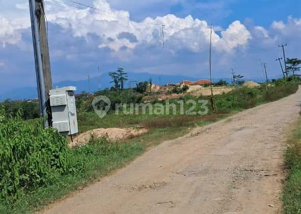 Dijual Tanah Kosong Zona Perumahan Di Maja Tangerang