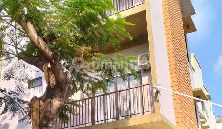 Disewakan Rumah Di Taman Holandia Huk