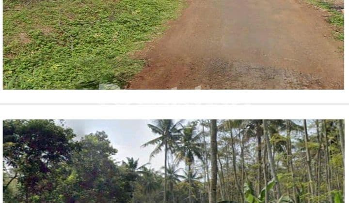 KAWASAN PERUNTUKAN INDUSTRI BATANG - JAWA TENGAH