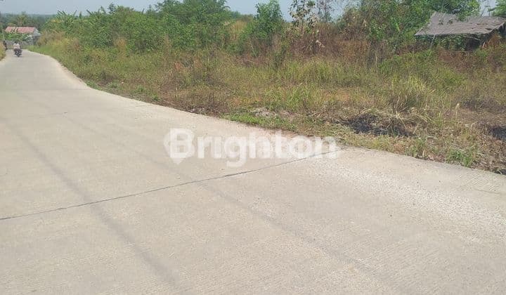 Kavling/Tanah nempel di Cisauk(nempel ke BSD)