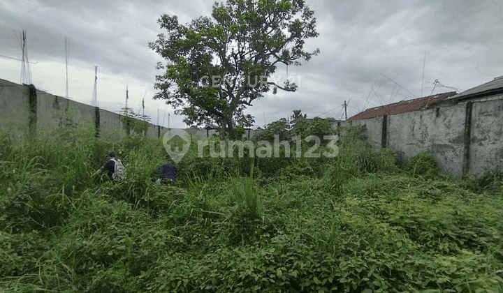 Tanah Strategis Dekat Perumahan Ciomas Harapan Kabupaten Bogor (Ann)
