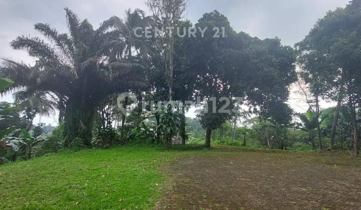 Tanah Strategis Dekat Tol Seberang Mdc (Mega Development Centre)Di Jl Raya Gadog Kabupaten Bogor (Nr)