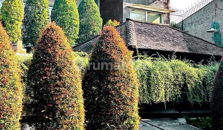 For Sales Rumah Mewah 3 Lt Pulomas Jakarta Timur