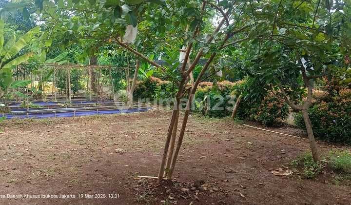 Jual Cepat Tanah Luas Pinggir Jalan Utama Kahfi Cocok Untuk Usaha
