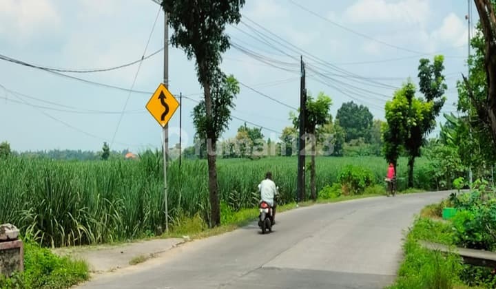 Industrial Zone Land, Kupang Jetis, Mojokerto