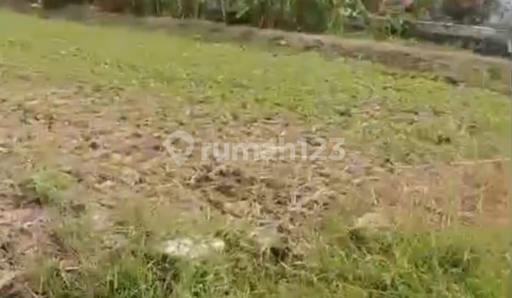 Murah BU Tanah Di Kedamean Gresik Desa Glindah